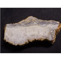 Tuscarora Native Gold in Quartz Vein