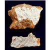 Image 1 : Hale & Norcross Gold Ore
