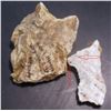 Image 2 : Hale & Norcross Gold Ore
