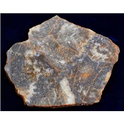 Ophir Bonanza Ore Extreme High Grade Specimen