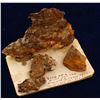 Image 1 : Willard Gold Specimen from the Gottschalk Collection