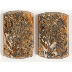 Silver Specimen Slabs