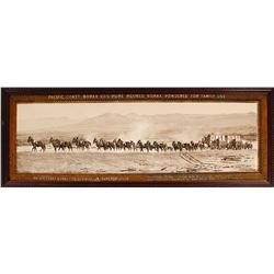 Borax Mule Team Print