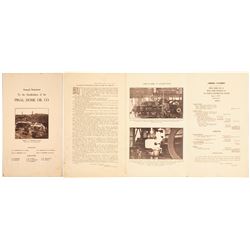 Pinal Dome Oil Annual Statement