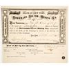 Image 1 : Herrmann Silver Mining Co. Stock Certificate, Georgetown