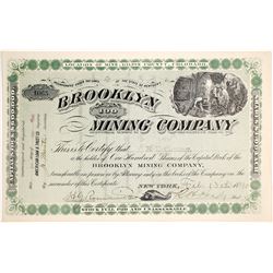 Brooklyn Mining Company Stock Certificate