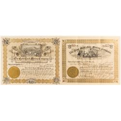 Choice Colorado Mining Stock Certificates