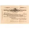 Image 1 : Bullfrog North Star Mining Company Stock Certificate