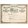 Image 1 : Metropolitan Mining & Manufacturing Co. Stock Certificate