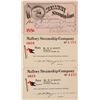 Image 1 : Three Mallory Steamship Co. Annual Passes