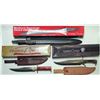 Image 1 : Timber Wolf Bowie Knives and Damascus sword