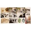 Image 1 : Roosevelt Dam Postcards