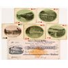 Image 1 : Rare Salmon City Revenue Check Plus Idaho Playing Cards