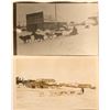 Image 1 : Two Idaho Dog Sled Race RPC's
