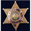 Image 1 : Nevada Security & Patrol Badge