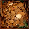 Image 1 : Cherokee Nation, Chatahoochee River Region Pot Chards