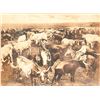 Image 1 : 101 Ranch Postcard and Photo Enlargement