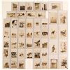 Image 1 : Cowboy/Western Photographs