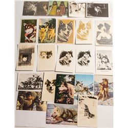 Dogsled Postcards: Large selection of sled dogs portraits