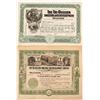 Image 1 : Two Tri-Bullion Smelting and Development Company Stock Certificates