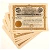 Image 1 : American Consolidated Mining & Milling Co Stocks Certs.