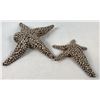 Image 1 : Hulk (2003) - Set of 2 Screen Used Starfish From Experiments Scene
