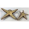 Image 2 : Hulk (2003) - Set of 2 Screen Used Starfish From Experiments Scene
