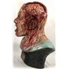 Image 2 : The Rage (2007) - Larry Mutation Head