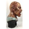 Image 4 : The Rage (2007) - Larry Mutation Head