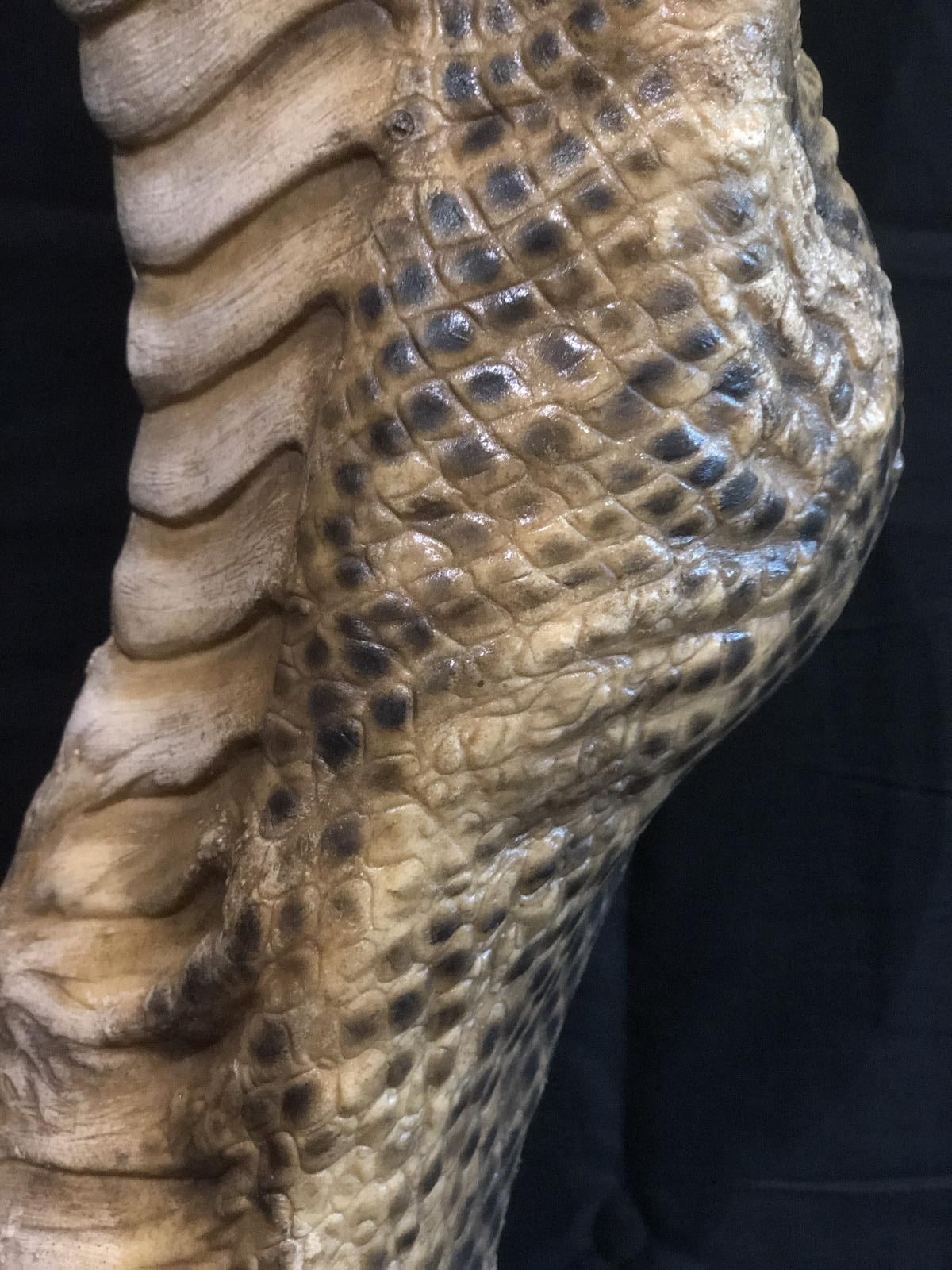 Hisss (2010) - Woman To Snake Woman Transformation Model