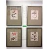 Image 1 : 4 Framed Botanical Prints
