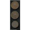 Image 2 : Trio of Bronze Cents