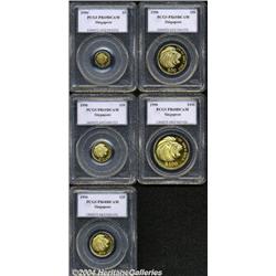 Republic Gold Proof Set 1990,