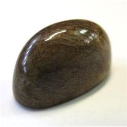 2.24 ct. Opalized  Dinosaur Bone  AAA