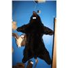 Image 1 : TAXIDERMY BLACK BEAR RUG