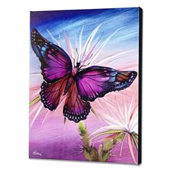 Rainbow Butterfly by Katon, Martin