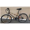 Image 1 : FREE SPIRIT GREY BIKE