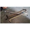 Image 2 : BUNDLE OF CANES ONE SNAKESKIN