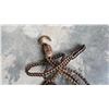 Image 2 : ARMSTRONG ROLLER CHAIN COME ALONG
