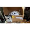 Image 1 : TSG EVOLUTION BIKE HELMET SIZE S/M