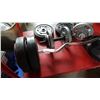Image 3 : LOT OF FREE WEIGHTS AND BARS