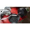 Image 4 : LOT OF FREE WEIGHTS AND BARS