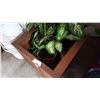 Image 2 : ARTIFICIAL PLANT IN WOOD PLANTER