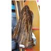 Image 1 : FUR COAT