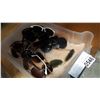 Image 2 : DOG GROOMING AND SUN GLASSES LOT