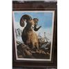 Image 2 : BIG HORNED SHEEP LEP BY H ADDER 23589