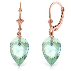 Genuine 22.5 ctw Blue Topaz Earrings Jewelry 14KT Rose Gold - REF-52M2T