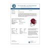 Image 3 : 8.83 CTW Ruby & Diamond Ring 18K White Gold - REF-112F8N - 13741