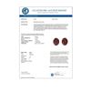Image 3 : 7 CTW Garnet Designer Inspired Solitaire Stud Earrings 18K Yellow Gold - REF-34F9N - 21664