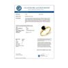 Image 3 : 1.0 CTW VS Certified Black Diamond Solitaire Ring 14K Yellow Gold - REF-41T8M - 11795